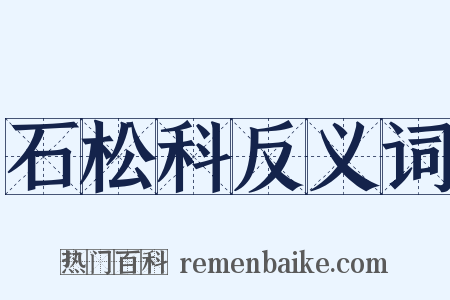 石松科反义词是什么意思的图片